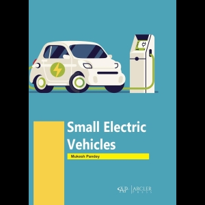 Small Electric Vehicles