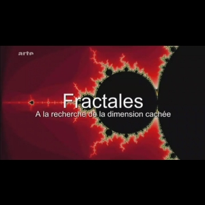 Fractales, à la recherche de la dimension cachée