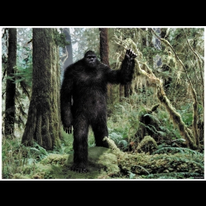 Bigfoot - Yéti (Parks)