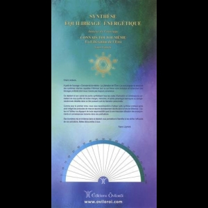 Synthèse équilibrage énergétique : Annexe de l'ouvrage "Connais-toi toi-même, la libération de l'être"