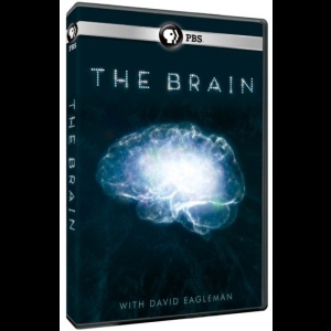 [Serie] Au coeur du cerveau - Avec David Eagleman