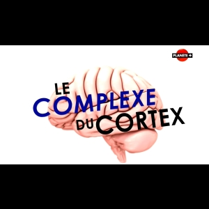 [Serie] Le complex du cortex