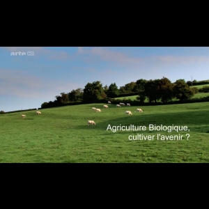 Agriculture biologique, cultiver l'avenir ?