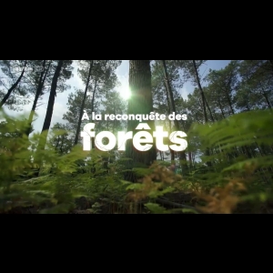 [Serie] A la reconquête des forêts