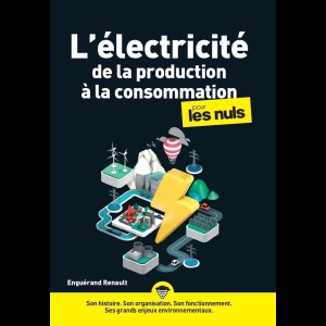 L'électricité - de la production à la consommation pour les nuls