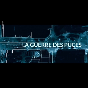 La Guerre Des Puces