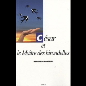 César et le Maître des hirondelles (Tome III)