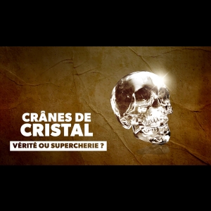 Crânes de Cristal - Vérité ou Supercherie ?