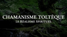Chamanisme Toltèque le réalisme spirituel Paul Degryse