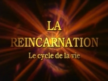 La réincarnation - Le cycle de la vie 