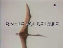 Northrop B-2 - Le Vol De L'aile (1994)
