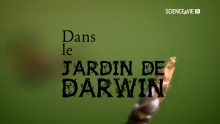 [Serie] Dans le Jardin de Darwin 
