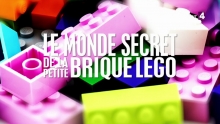 Le monde secret de la petite brique Lego