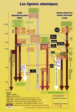Parks - Lignées Adamiques