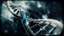 Sapiens : Codes ADN de réveil cachés (Parks)