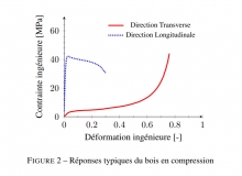 Limite de compression du Bois en Radial pour le transport Mégalithique