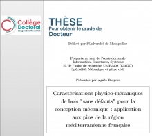 Thèse : Caractérisations physico-mécanique de bois "sans défaults" pour la conception mécanique : application aux pins de la région méditerranéenne française