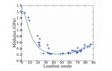 The transverse off-axis stiffness and strength of softwoods