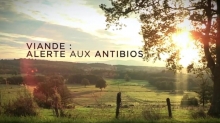 Viande : alerte aux antibios