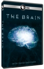 [Serie] Au coeur du cerveau - Avec David Eagleman