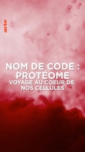 Voyage au coeur de nos cellules - Nom de code : protéome
