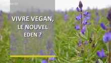 Vivre vegan - Le nouvel éden ?