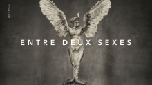 Entre deux sexes