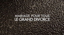 Mariage pour tous - Le Grand Divorce