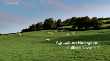 Agriculture biologique, cultiver l'avenir ?