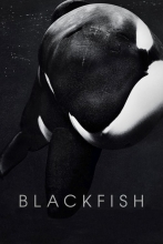 Blackfish - L'orque tueuse