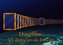 Dauphins - Les danseurs de l'océan