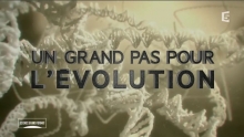 [Serie] Un grand pas pour l'évolution (2015)