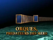 Orques - Prédateurs des Mers