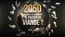 2050 - Faudra-t-il Vraiment Se Passer De Viande?