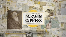 Darwin Express - Les nouveaux défis de l'évolution