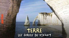 Terre - Les Forces du Vivant