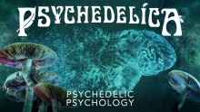 [Serie] Psychedelica